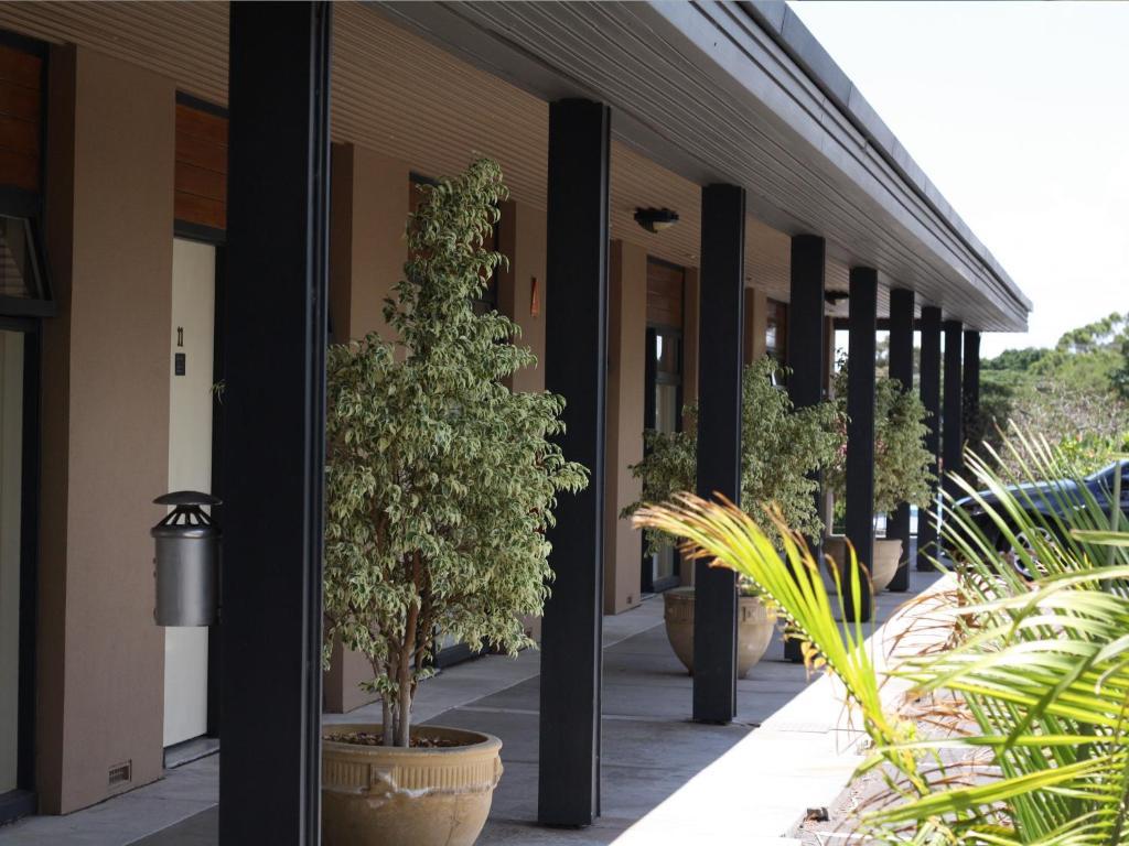 Tonsley Hotel Adelaide Exterior foto